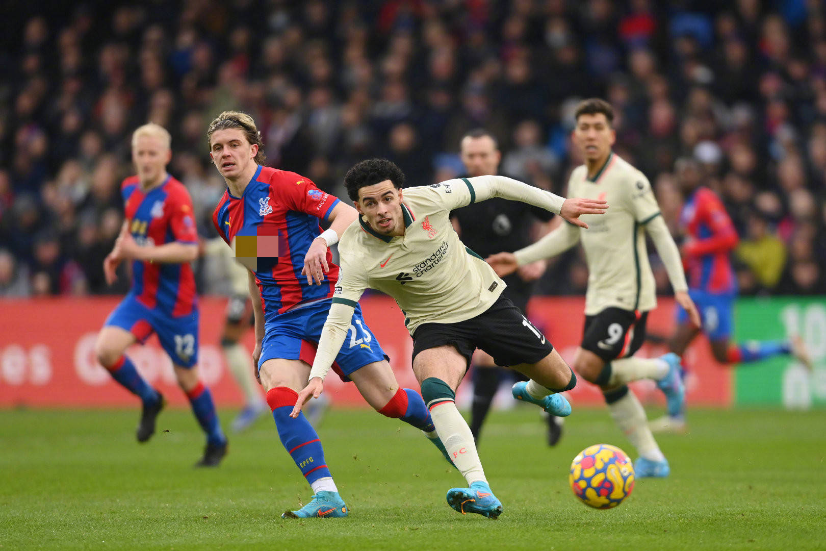 上争相吸纳 上争相吸纳